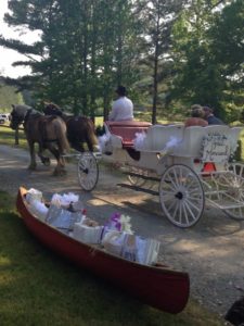 Just married horse and buggy at vintage wedding venue