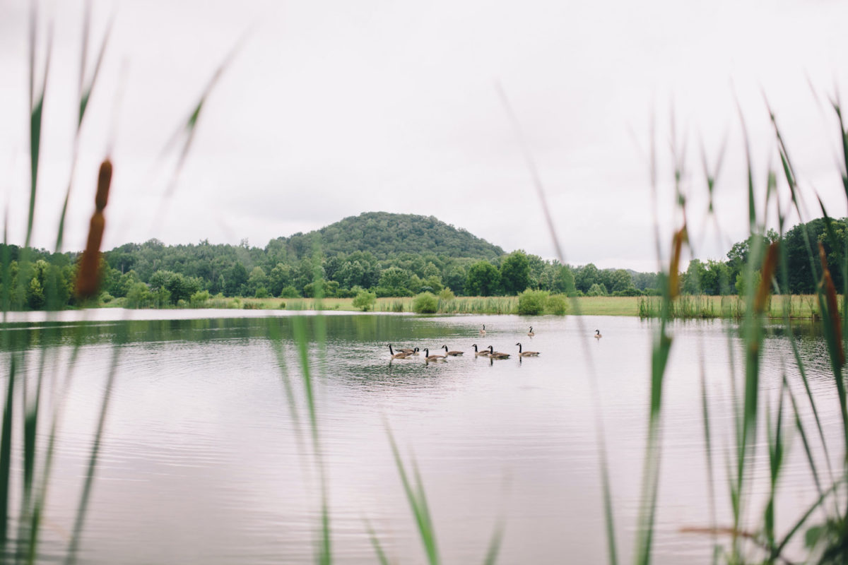Gallery – Spring Lake Events